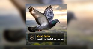 دراسة ألمانية تكشف دورًا محتملاً لخلايا الكبد في ملاحة الحمام الزاجل