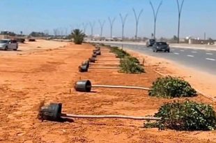 الليبية لحماية الحياة البرية تطالب بتوضيح جهة اختيار أشجار مشروع طريق المطار