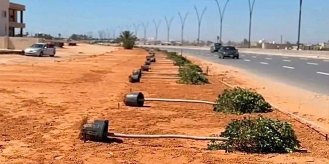 الليبية لحماية الحياة البرية تطالب بتوضيح جهة اختيار أشجار مشروع طريق المطار