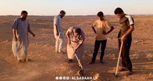 مبادرة زراعة أشجار الطلح بسوكنة