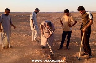 مبادرة زراعة أشجار الطلح بسوكنة