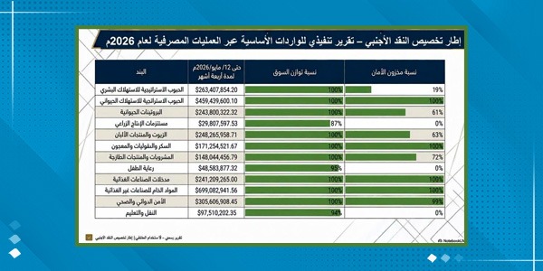 4 مليارات دولار لتغطية الواردات وتعزيز استقرار الأسواق المحلية
