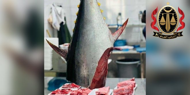 حبس مسؤولين بوزارة الثروة البحرية بسبب مخالفات في توزيع حصص صيد التونة.