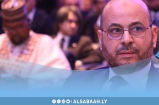 عبدالمنعم إبراهيم وزير الخدمة المدنية يصدر منشور لتنظيم لجان شؤون الموظفين