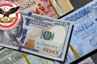 جهاز مكافحة الجرائم المالية يضبط شبكة احتيال إلكتروني عبر صفحات مصرفية وهمية