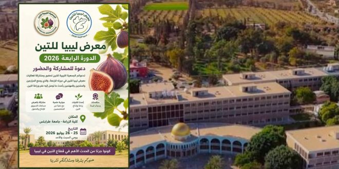تصميم إعلاني لـ "معرض ليبيا للتين 2026" في دورته الرابعة. يظهر في الجانب الأيسر ملصق أخضر يحتوي على شعار الجمعية الليبية للتين، وصور لثمار التين الطازجة، وتفاصيل الفعاليات (مسابقات، تقنيات الزراعة، حوارية علمية، مساحات تسويق) والمكان في كلية الزراعة بجامعة طرابلس. وفي الجانب الأيمن خلفية جوية واسعة لمباني ومساحات خضراء تابعة لجامعة طرابلس وكلية الزراعة