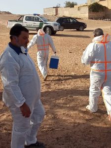 فريق بيطري يرتدي بدلات واقية بيضاء في منطقة صحراوية برفقة دورية الشرطة الزراعية. مصدر الصورة جهاز الشرطة الزراعية