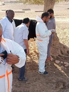 فريق بيطري يرتدي بدلات واقية بيضاء في منطقة صحراوية . مصدر الصورة جهاز الشرطة الزراعية