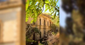مكتبة قورينا تصوير عبد المالك الشاعري