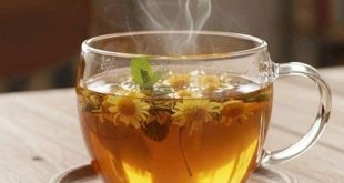 كوب زجاجي شفاف يحتوي على شاي دافئ وتتصاعد منه أبخرة خفيفة، بجانبه ليمونة مقطوعة ونعناع أخضر طازج على خلفية صيفية دافئة، ليعكس فكرة دور المشروبات الساخنة في ترطيب الجسم.