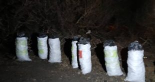 سبعة أكياس بيضاء كبيرة ممتلئة بالفحم النباتي ومصفوفة على الأرض في منطقة حرجية، وهي جزء من المضبوطات في قضية تجريف وغابات الساحل بالجبل الأخضر."