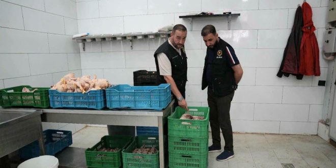 مفتشان من الحرس البلدي أو المجلس البلدي طرابلس المركز يرتديان سُترات رسمية أثناء فحص وتفتيش صناديق الدجاج واللحوم داخل أحد محال بيع اللحوم والدواجن للتأكد من سلامتها الغذائية.