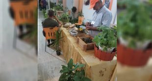 كشك معرض ليبيا للتين بجامعة طرابلس، حيث يعرض عارض أصناف التين المجفف والشتلات لزائر جالس، مع وجود لافتات ونباتات زينة في الخلفية