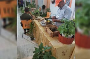 كشك معرض ليبيا للتين بجامعة طرابلس، حيث يعرض عارض أصناف التين المجفف والشتلات لزائر جالس، مع وجود لافتات ونباتات زينة في الخلفية