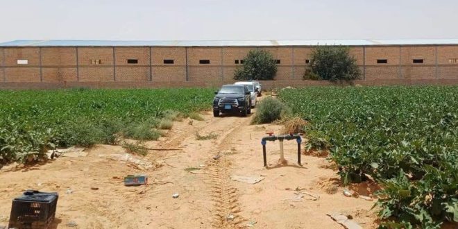 صورة نهارية توثق جولة تفتيشية لجهاز الشرطة الزراعية في الزاوية داخل مزرعة خضراء، حيث تتوقف سيارة الدورية على طريق ترابي أمام منشآت زراعية، في إطار ضبط أسطوانات غاز بروميد الميثيل المحظورة