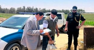 المبيدات الزراعية: بين حملات المصادرة واحتياج الفلاح