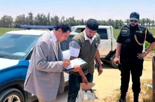 المبيدات الزراعية: بين حملات المصادرة واحتياج الفلاح