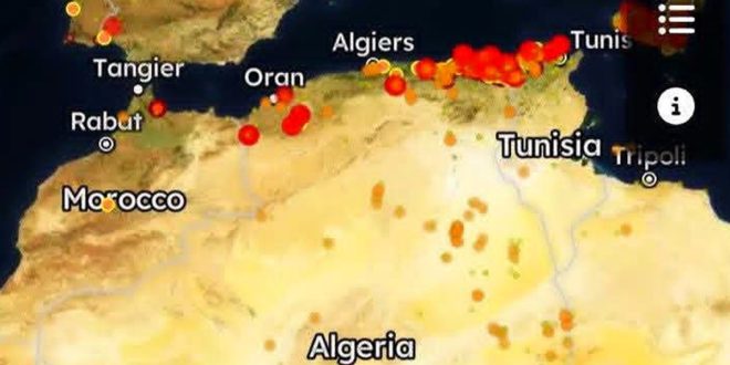 خريطة لشمال أفريقيا تعرض نقاطًا حمراء وبرتقالية تمثل بؤر حرائق، مع تركز واضح على امتداد الساحل الشمالي، خاصة في الجزائر وتونس.