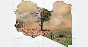 صورة تعبيرية لمساحات خضراء متضررة أو غابات في منطقة الجبل الأخضر بليبيا تعاني من الجفاف والتراجع البيئي.