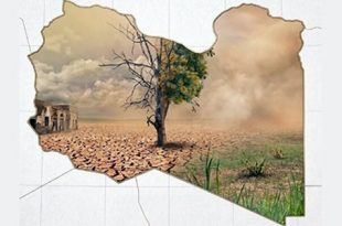 صورة تعبيرية لمساحات خضراء متضررة أو غابات في منطقة الجبل الأخضر بليبيا تعاني من الجفاف والتراجع البيئي.