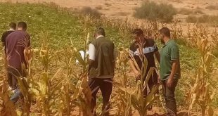عناصر من الشرطة الزراعية والإصحاح البيئي