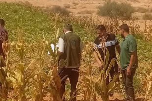 عناصر من الشرطة الزراعية والإصحاح البيئي
