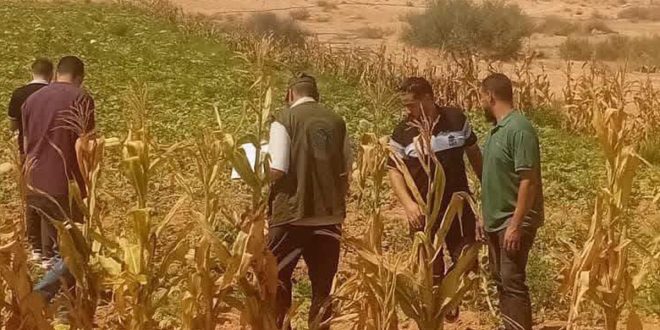 عناصر من الشرطة الزراعية والإصحاح البيئي