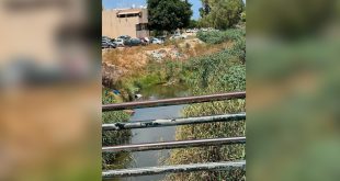 تدفق مياه الصرف الصحي في وادي المجين يهدد حي الأندلس والمياه الجوفية