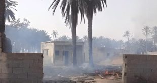 ​دخان متصاعد وآثار حرائق بين أشجار النخيل والمنازل في منطقة العافية ببراك الشاطئ، ضمن تحذيرات من تهديدها لخطوط نقل الكهرباء بالجنوب.