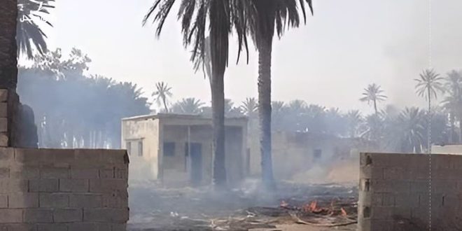 ​دخان متصاعد وآثار حرائق بين أشجار النخيل والمنازل في منطقة العافية ببراك الشاطئ، ضمن تحذيرات من تهديدها لخطوط نقل الكهرباء بالجنوب.
