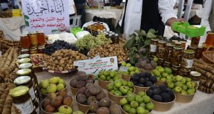 صورة متوسطة الحجم تظهر طاولة عرض غنية ومزدحمة في مهرجان "القلعة" للتين والفاكهة البعلية في جبل نفوسة، مليئة بسلال وأكواب من التين الطازج والتمور والمنتجات المحلية الأخرى مثل المربى في مرطبانات زجاجية، مع لافتات واضحة وأشخاص يتفاعلون في الخلفية.