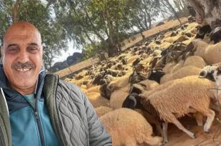 صورة مركبة من منصة الصباح الإخبارية تجمع بين صورة شخصية للباحث مصطفى الدهماني ولقطة لقطيع أغنام، معروضة كخلفية في مشهد واحد، لتمثيل تقرير عن تدهور قطاع الثروة الحيوانية وارتفاع أسعار الأعلاف