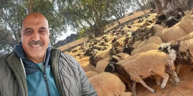 صورة مركبة من منصة الصباح الإخبارية تجمع بين صورة شخصية للباحث مصطفى الدهماني ولقطة لقطيع أغنام، معروضة كخلفية في مشهد واحد، لتمثيل تقرير عن تدهور قطاع الثروة الحيوانية وارتفاع أسعار الأعلاف