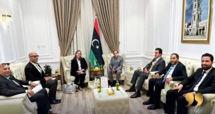 ليبيا والنمسا تبحثان إعادة تدشين خط جوي مباشر