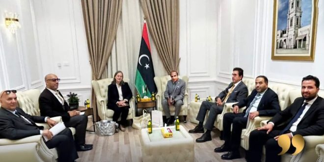 ليبيا والنمسا تبحثان إعادة تدشين خط جوي مباشر