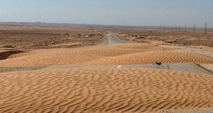 طريق أسفلتي ممتد عبر الصحراء تغطيه كثبان رملية ذهبية تعيق حركة المرور بعد منطقة سيناون