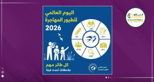 تصميم توعوي لليوم العالمي للطيور المهاجرة 2026 يتضمن رسومات توضيحية لخطوات مراقبة الطيور والتعرف عليها، وشعار منظمة البراري لصون الطبيعة.