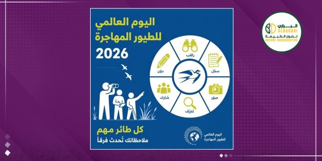 تصميم توعوي لليوم العالمي للطيور المهاجرة 2026 يتضمن رسومات توضيحية لخطوات مراقبة الطيور والتعرف عليها، وشعار منظمة البراري لصون الطبيعة.