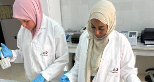 صورتان لباحثتين أو طبيبتين بيطريتين ترتديان معاطف بيضاء وقفازات طبية وحجابات أثناء العمل داخل مختبر تحليلي لتقصي الأمراض.