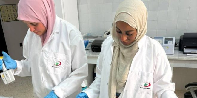 صورتان لباحثتين أو طبيبتين بيطريتين ترتديان معاطف بيضاء وقفازات طبية وحجابات أثناء العمل داخل مختبر تحليلي لتقصي الأمراض.