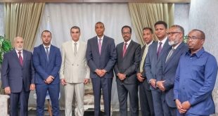 صورة فوتوغرافية لرئيس الوزراء الصومالي حمزة عبدي بري ووفد وزارة الصناعة والمعادن الليبي يظهرون وقوفاً أثناء اجتماعهم في مقديشو لبحث الشراكة الاقتصادية.