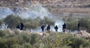 ​صورة فوتوغرافية تظهر مجموعة من المستوطنين الإسرائيليين الملثمين باللون الأسود يقفون بين أشجار زيتون على منحدر صخري، وسط سحب من الدخان الكثيف الناتج عن قنابل الغاز المسيل للدموع التي أطلقتها القوات المحتلة، خلال هجوم على أراضي قطاف زيتون تابعة للفلسطينيين في الضفة الغربية. أحدهم يرفع هراوة.